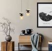 Pendul Rabalux Niylah Black-Amber E27 25W 72081 sticla chihlimbar