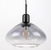 Lustra Rabalux Dvora Black-Smoky E27 3x40W 72023 sticla fumurie