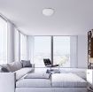 Plafoniera LED Rabalux Engon Silver-White 23W 1620lm 71129 plastic argintiu-alb
