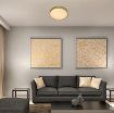Plafoniera LED Rabalux Tesia Gold 36W 2300lm 71037 metal auriu