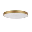 Plafoniera LED Rabalux Tesia Gold 60W 3750lm 71038 metal auriu