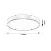Plafoniera LED Rabalux Tesia Gold 60W 3750lm 71038 metal auriu