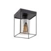 Plafoniera Rabalux Chadwick Black E27 25W 71031 sticla fumurie