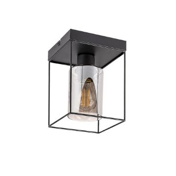 Plafoniera Rabalux Chadwick Black E27 25W 71031 sticla fumurie