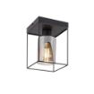 Plafoniera Rabalux Chadwick Black E27 25W 71031 sticla fumurie