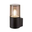 Aplica exterior Rabalux Teplice Black-Somky E27 12W plastic fumuriu