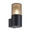 Aplica exterior Rabalux Teplice Black-Somky E27 12W plastic fumuriu