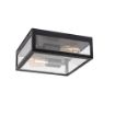 Plafoniera exterior Rabalux Zaton Matte Black E27 2x60W 7070 sticla transparenta