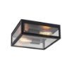 Plafoniera exterior Rabalux Zaton Matte Black E27 2x60W 7070 sticla transparenta