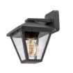 Aplica exterior Rabalux Paravento Black E27 40W 7147 sticla transparenta