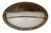 Aplica exterior Rabalux Hektor 8496 100W metal auriu antic