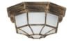 Plafoniera exterior Rabalux Milano 8376 100W metal auriu antic