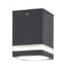 Plafoniera exterior Rabalux Zombor Anthracite 7818 aluminiu antracit