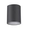 Plafoniera exterior Rabalux Zombor Anthracite 7819 aluminiu antracit