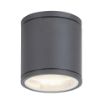 Plafoniera exterior Rabalux Akron Anthracite 8150 aluminiu antracit