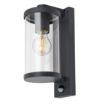 Aplica exterior Rabalux Silistra Anthracite senzor miscare 7892 sticla transparenta