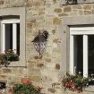 Aplica exterior Rabalux Haga Antique Gold 8244 metal auriu antic