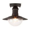 Plafoniera exterior Rabalux Oslo Black 8716 metal negru
