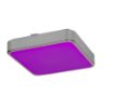 Plafoniera LED RGB Rabalux Wolimir 2982 22W 1800lm metal crom