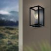 Aplica vintage Eglo Charterhouse Black 49394 sticla transparenta