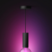 Pendul cablu Philips Hue Guide Black E27 LG
