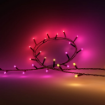 Lumini pe cablu Philips Hue Festavia 28W 2x20m 500LEDs RGBW