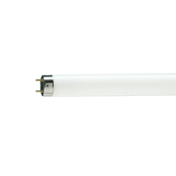 Tub fluorescent T8 Philips TL-D Snow White G13 36W 2370lm lumina rece PS02926