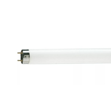 Tub fluorescent Philips TL-D G13 T8 36W 12000k 2370lm 1200mm
