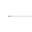 Tub LED Philips Master T8 G13 8W 3000k 1000lm 600mm