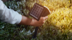 Proiector solar Philips Jivix SR Black 1.4W 150lm 2700k IP44
