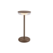 Veioza exterior Rabalux Konin Caramel 6W 3000k 60lm USB 77089