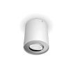 Spot aplicat Philips Hue Extensie Pillar White BT 4.2W 400lm White Ambiance