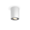 Spot aplicat Philips Hue Pillar White BT 4.2W 400lm White Ambiance