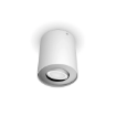 Spot aplicat Philips Hue Pillar White BT 4.2W 400lm White Ambiance