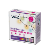 Instalatie luminoasa WiZ Connected Fairy Light Type-C 160LED 15W RGBW BT WIFI