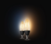 Set 2 becuri LED Philips Hue Vintage BT 4.6W E14 350lm White Ambiance