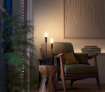 Set 2 becuri LED Philips Hue Vintage BT 4.6W E14 350lm White Ambiance