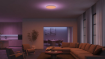 Plafoniera LED smart Philips Hue Datura RD S White 48W 3840lm White and Color Ambiance WiFi BT Zigbee