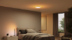 Plafoniera LED smart Philips Hue Datura RD S White 48W 3840lm White and Color Ambiance WiFi BT Zigbee
