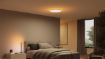 Plafoniera LED smart Philips Hue Datura RD XL White 67W 5390lm White and Color Ambiance BT Zigbee WiFi