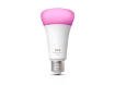 Hue WCA 1600 A67 E27 1P EU