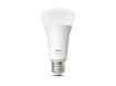 Hue WCA 1600 A67 E27 1P EU