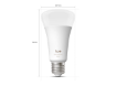 Hue WCA 1600 A67 E27 1P EU