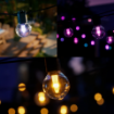 Festavia Hue globe string 21m 30bulb EU