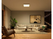 Imagine Plafoniera LED smart PHILIPS Hue Surimu 60x60cm 60W 4150lm RGBW IP20
