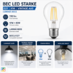 Bec LED Starke Vintage 10W A60 E27 1150lm lumina rece ST00723