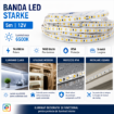 Banda LED Starke 5m 12V 6500k 14.4W/m 1450lm/m IP54 ST01103