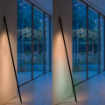 Imagine Tub LED smart PHILIPS Hue Signe Gradient 20W 2550lm RGBICW 179.5cm negru