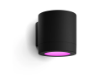 Imagine Aplica LED smart exterior PHILIPS Hue Muscari 4.2W 400lm RGBICW IP44 negru