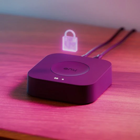 hue bridge pro